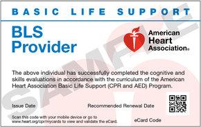 AHA BLS Certification Ann Arbor