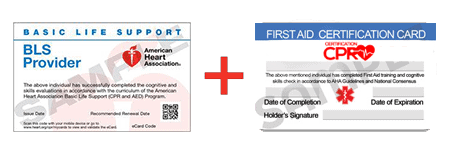 CPR and First Aid Class Ann Arbor